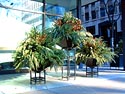 Civic Beautification